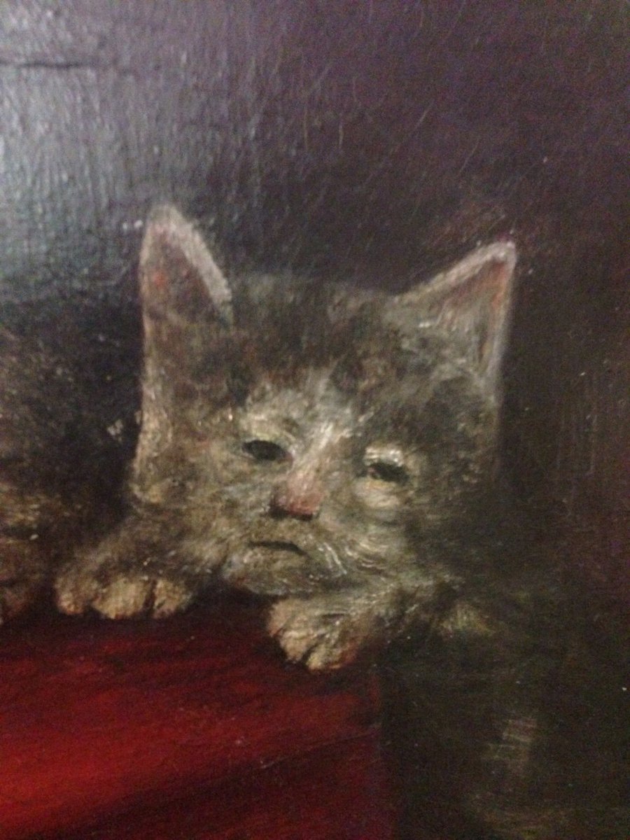 ddoniolvalcroze's tweet photo. Cat in Renaissance painting https://t.co/ndHSz6fIz2