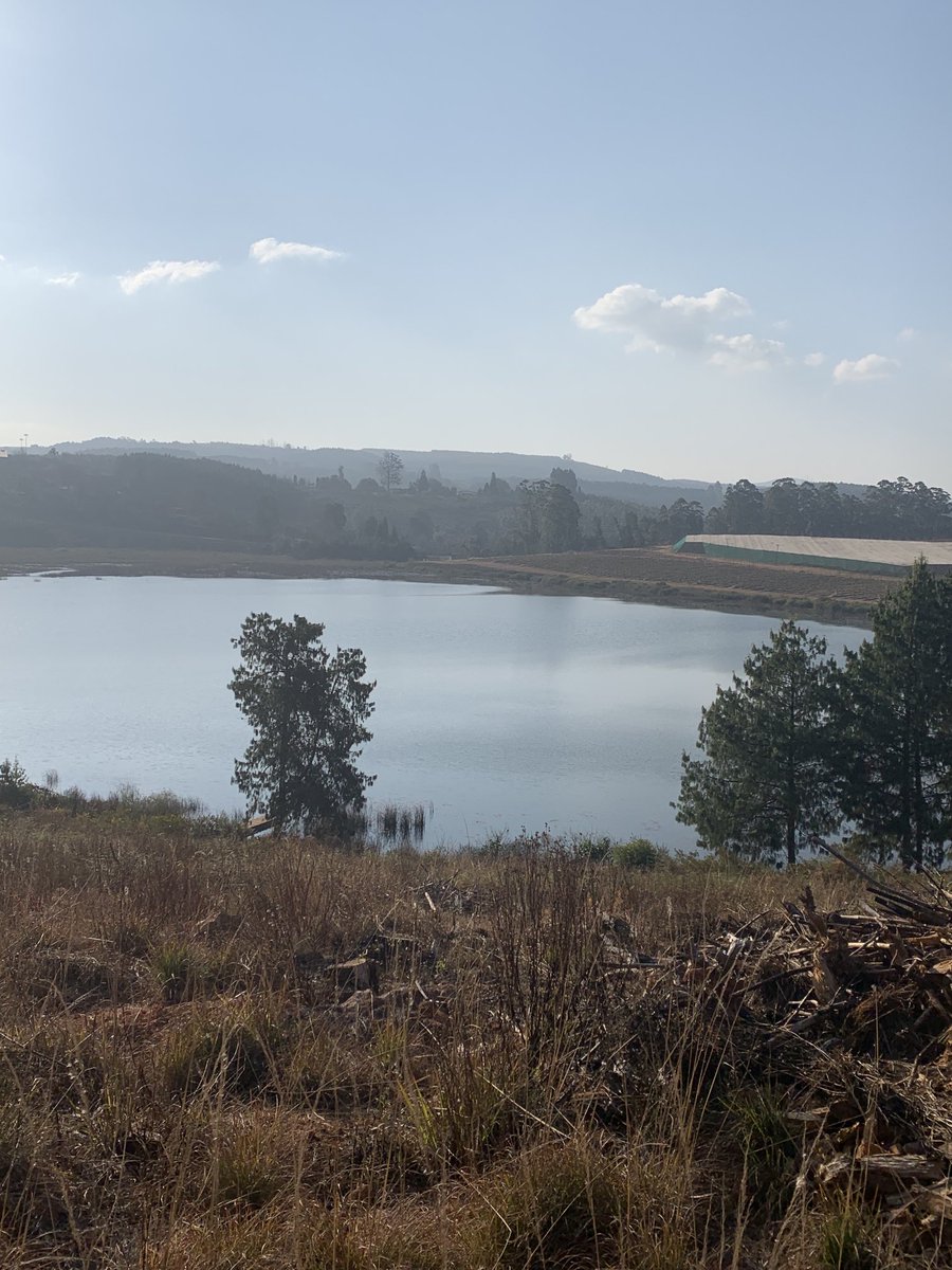 tito_mboweni's tweet image. In the midst of all the difficulties we face:COVID-19 variants,political tensions,uncertainties,anxieties and economic hardships,Limpopo still offers a place for calm reflections. Stanford Lake chalets &amp;amp; environment. ⁦⁦@golimpopo⁩ .⁦@Tourism_gov_za⁩. Makgobaskloof