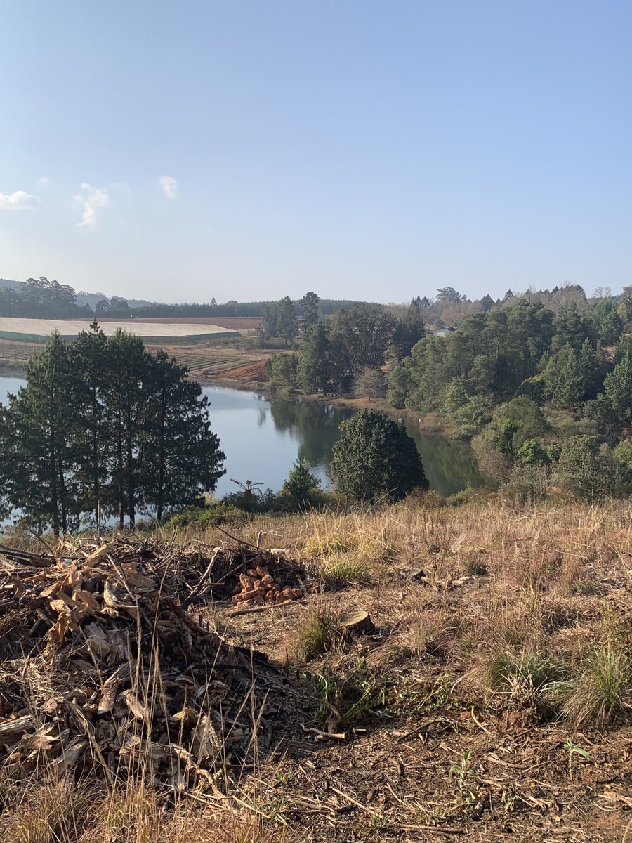 tito_mboweni's tweet image. In the midst of all the difficulties we face:COVID-19 variants,political tensions,uncertainties,anxieties and economic hardships,Limpopo still offers a place for calm reflections. Stanford Lake chalets &amp;amp; environment. ⁦⁦@golimpopo⁩ .⁦@Tourism_gov_za⁩. Makgobaskloof