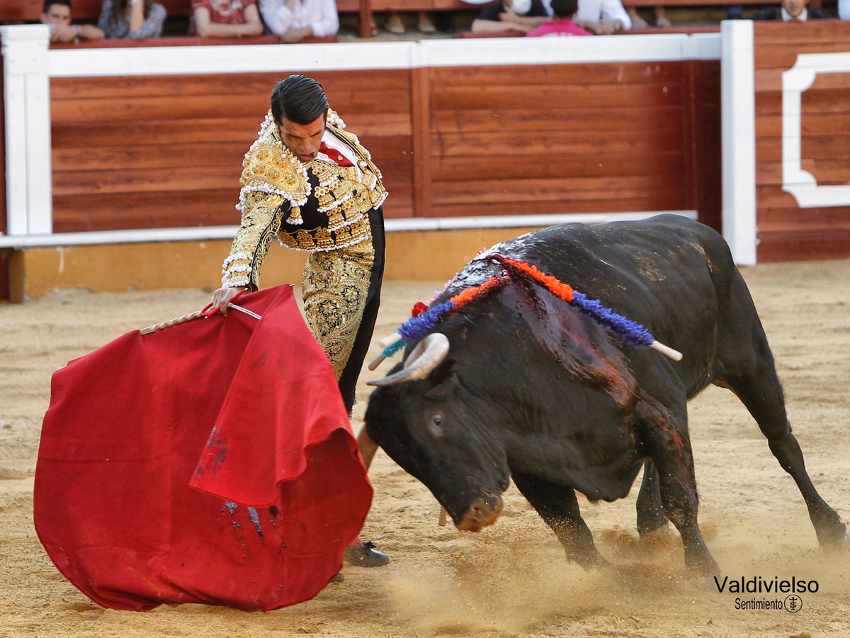 burladerotv's tweet photo. FESTEJOS.- SORIA.- Dos orejas y puerta grande para Emilio de Justo @tauroemocion @TorosSoria #RomanSorando @urdialesweb @EmiliodeJusto @juanortegapr @AlbertoGBuj @SentimientoTaur #AitorVian   https://t.co/xBagbD2XG2 https://t.co/mnBJXtBJNA