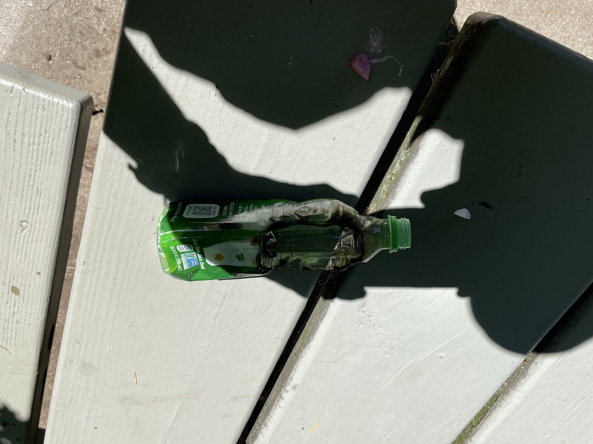 Laurelhurst Park PDX tweet media