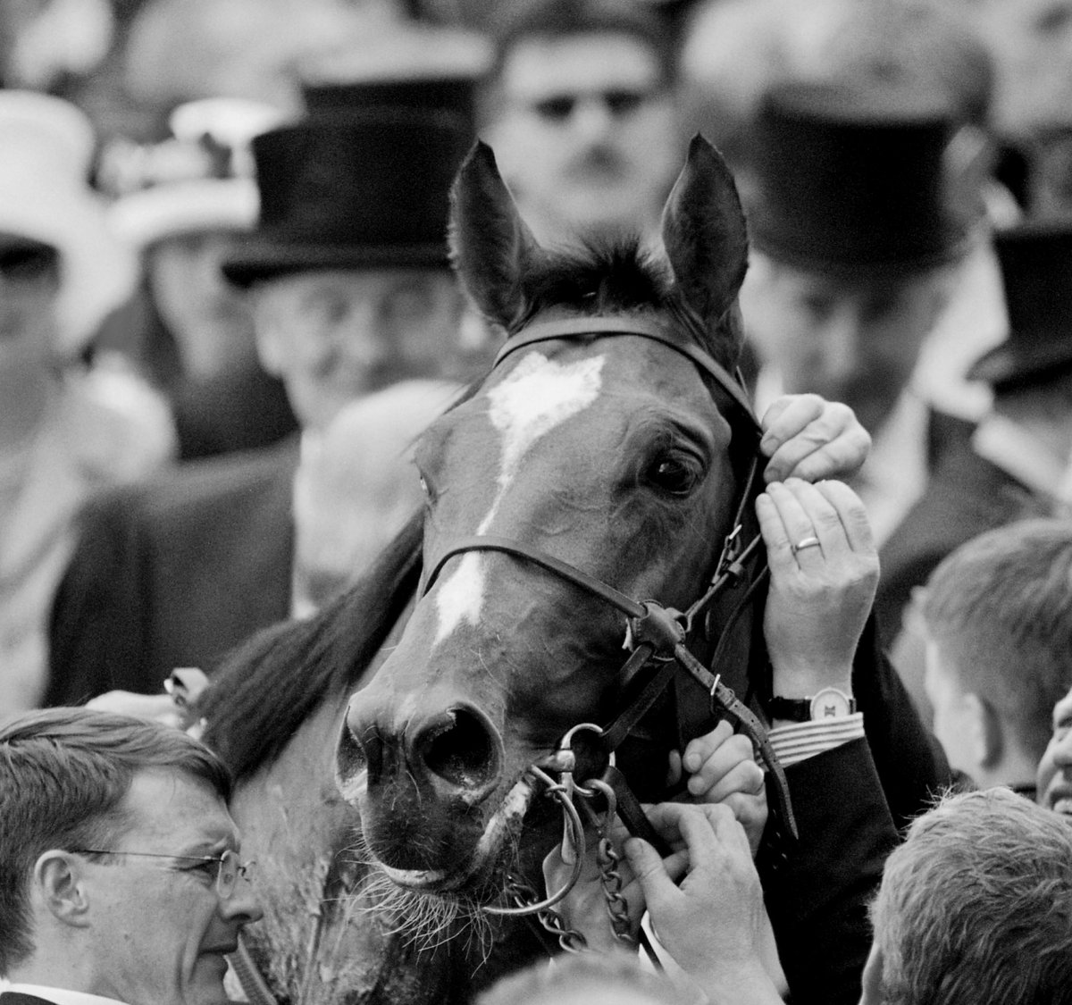 The saddest day but a life to celebrate. The General Stud Book has chronicled the exploits of Thoroughbred stallions for over 250 years. Galileo will forever stand amongst the greatest of them. Our condolences to all @coolmorestud and everyone involved with the legendary stallion