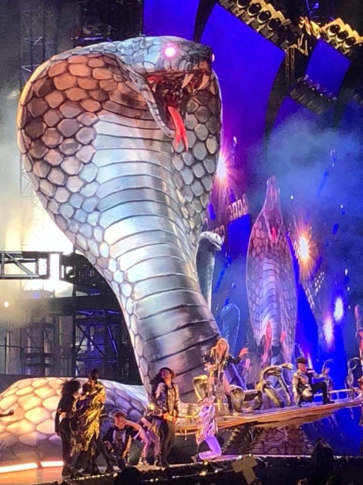 kylejenks1's tweet photo. Can’t believe it’s been 3 years since #reptourdc @taylornation13 @taylorswift13 was one of the best nights of my life https://t.co/ZswCTHWYG3