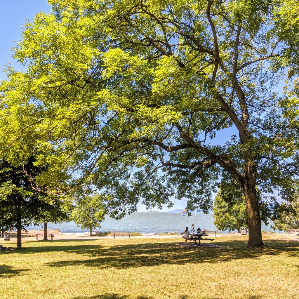 KeirMiron's tweet photo. #BEACHHANGS https://t.co/rZkLz4lsDD