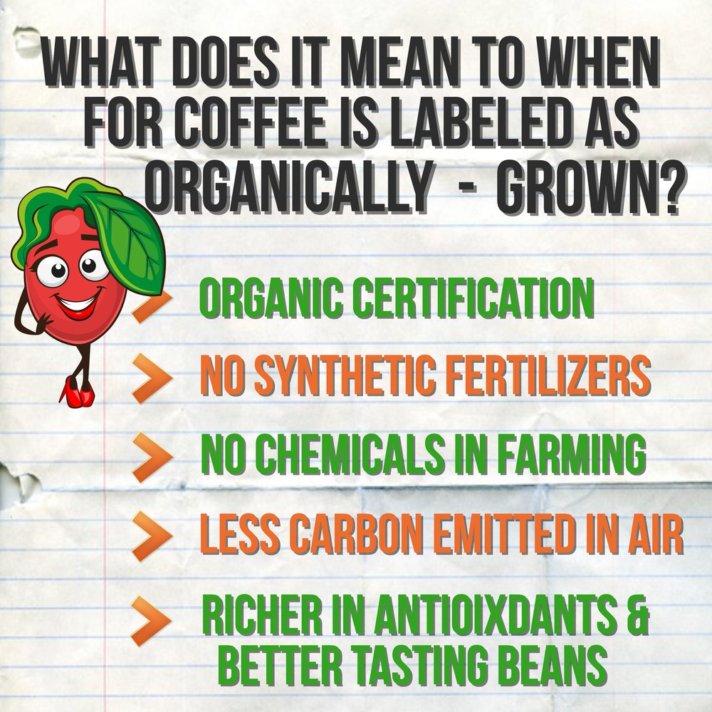 BeanAmigos's tweet photo. 🙋🏼‍♂️What does it mean when your ☕ coffee is 🍒"organically-grown"?
#beanamigos, #coffee, #beannation, #freshcoffee, #roastedcoffee #organic, #flavoredcoffee https://t.co/PpZMJZHVl8