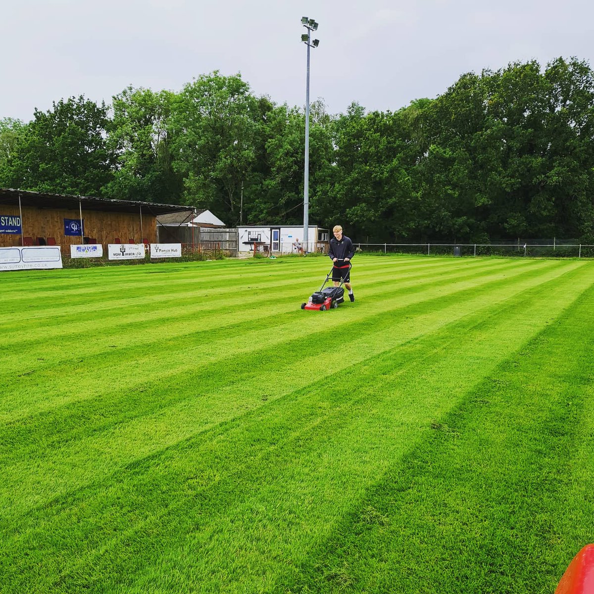 CHUFC's tweet photo. The main pitch starting to take shape in readiness for our return. #UpTheChessy #RaisingLevels #SoMuchGrass! #HooveringTheCarpet https://t.co/dXQiHOvByo