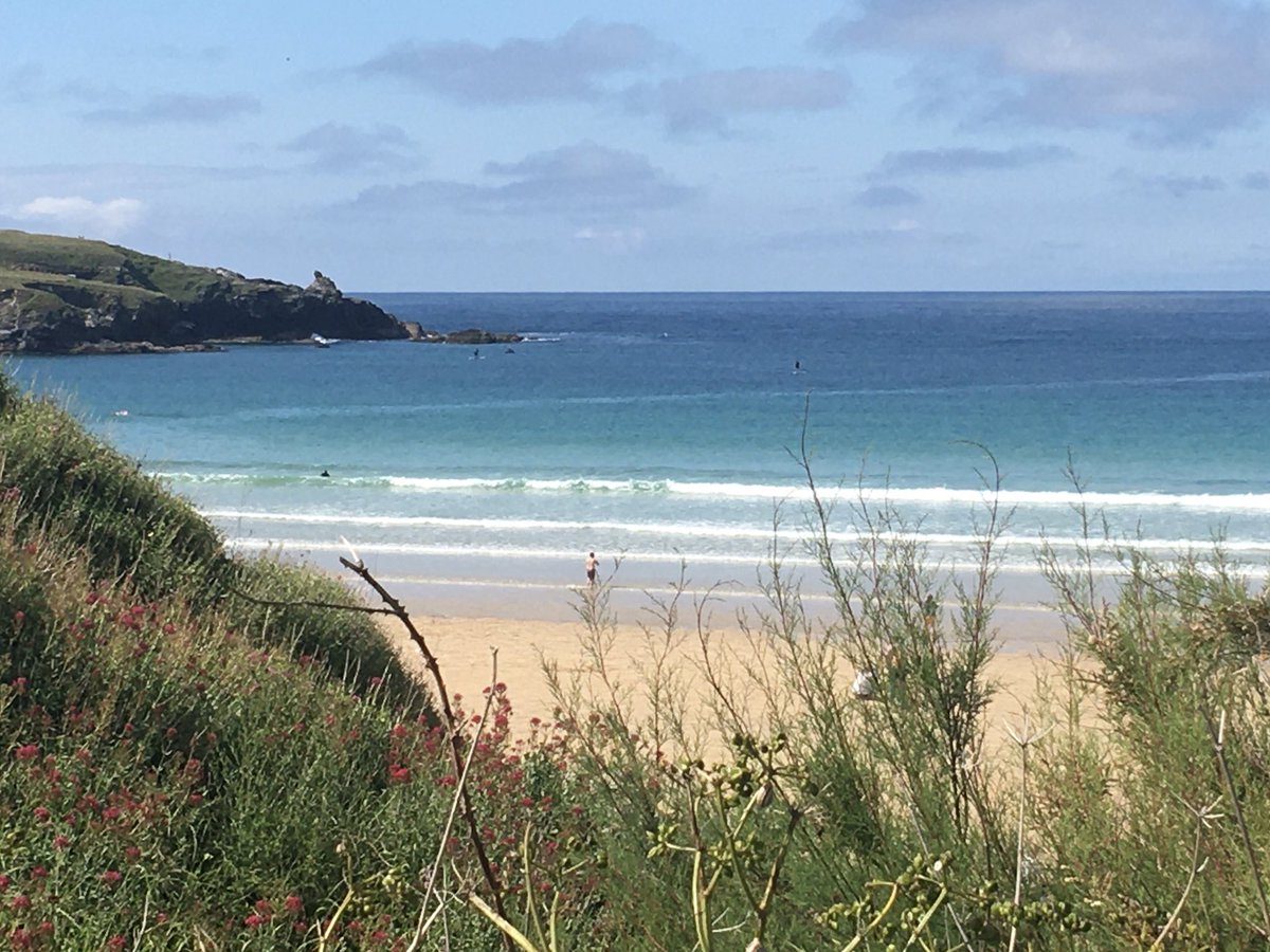 Isobel Bryce tweet media