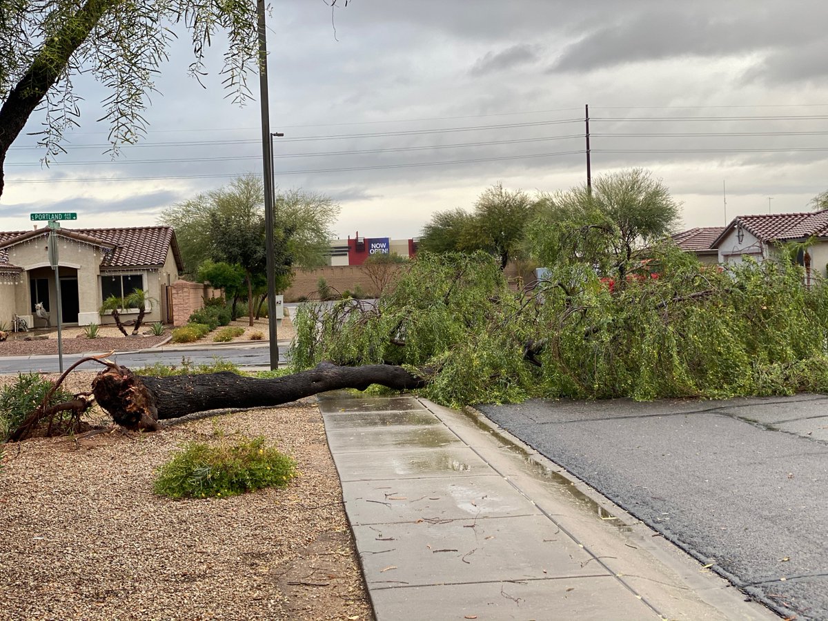 Last night's storm made quite a mess. 💨🌳
 
📲 Report downed trees or debris in our roadways to the <a href="/GilbertPolice/">Gilbert Police Dept.</a> non-emergency line: 480-503-6500
 
📲 Report streetlight outages or non-traffic hazards and public right-of-way issues: gilbertaz.gov/311