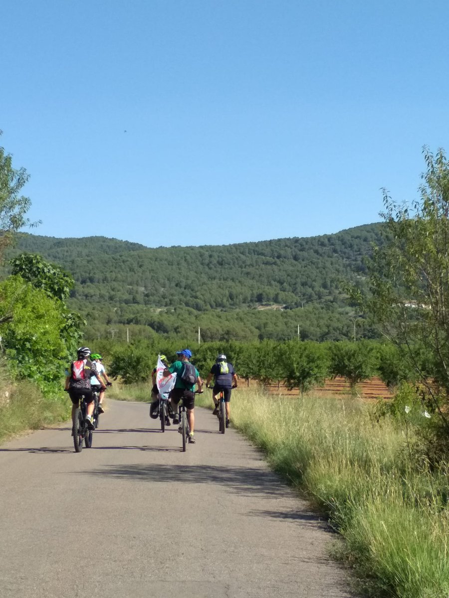 Castelló en Bici tweet media