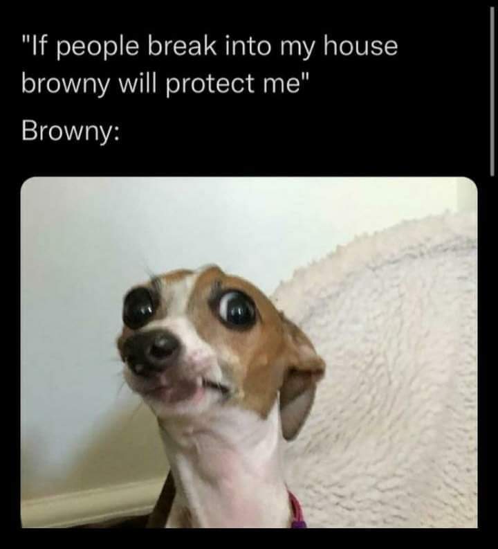 KidriccJames's tweet photo. 😂😂😂😂 https://t.co/LZKfcumcNE