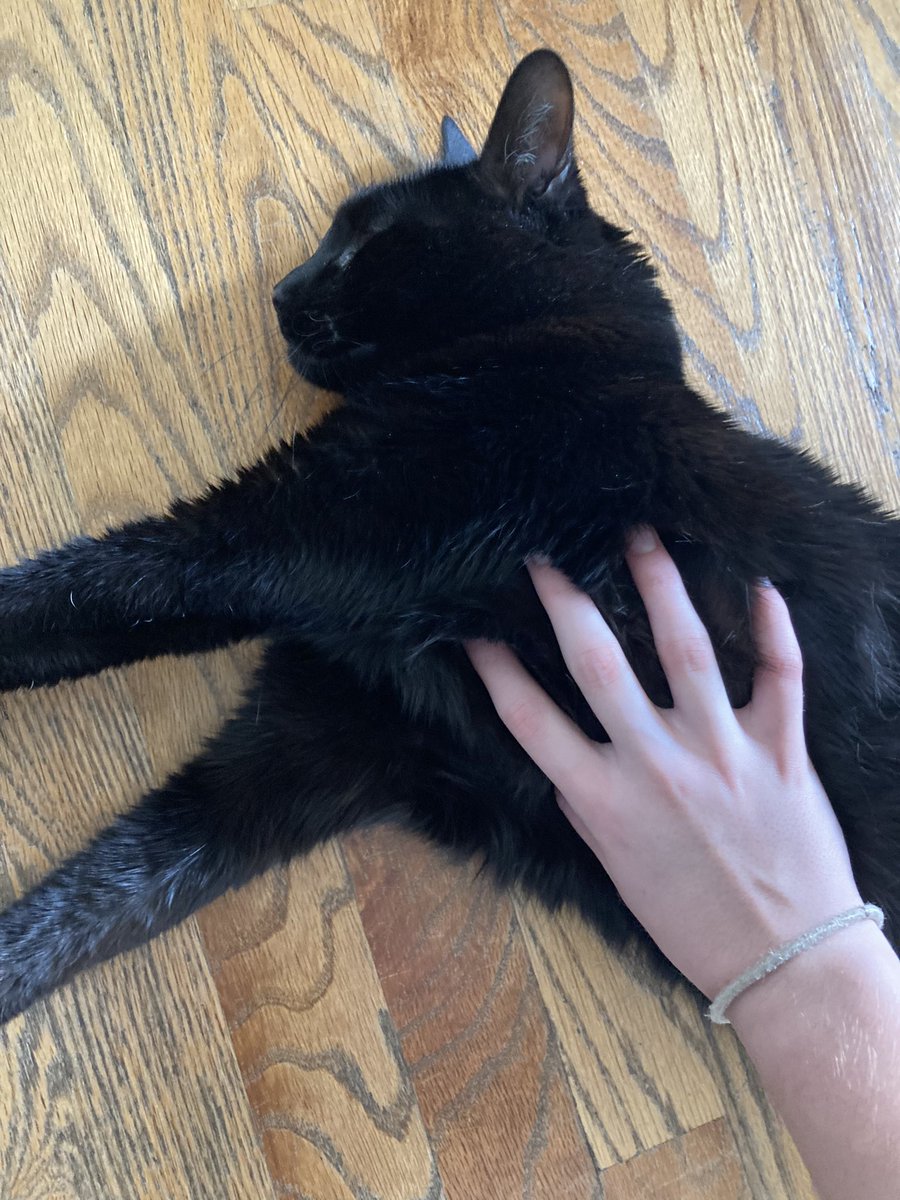 🇺🇦Midnight Daily💙💛 tweet media