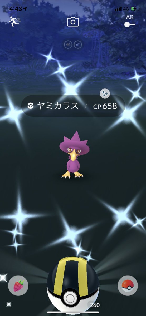 ポケモンgo ヤミカラスの色違い 入手方法と実装状況 攻略大百科