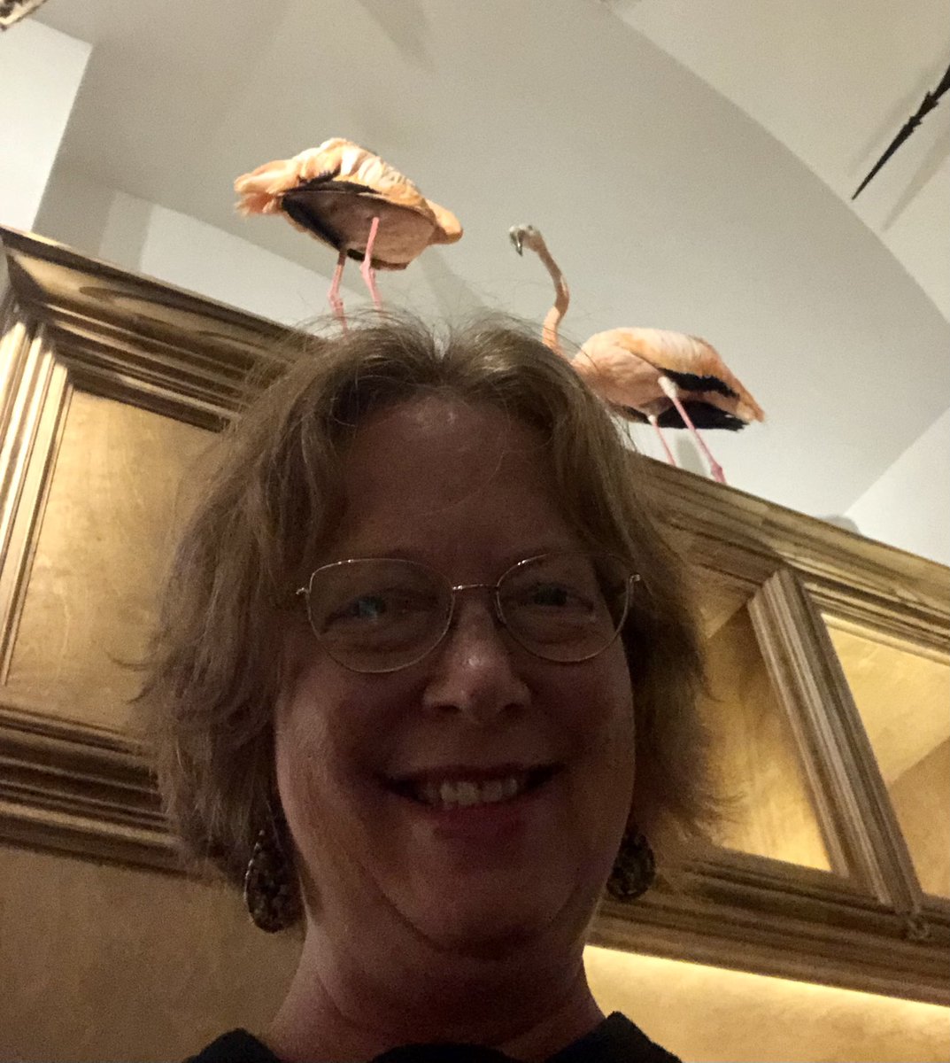 caj322's tweet photo. Flamingo Selfie. @HumbleISD_WHE #WHESummerSelfieBingo2021 #houstonmuseumofnaturalscience #cabinetofcuriosities https://t.co/cWgfTyjqMs