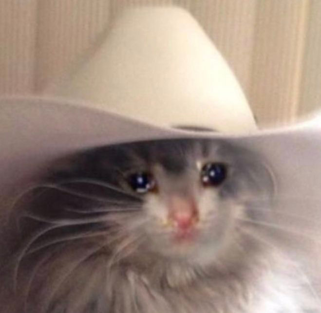 ColourPopCo's tweet photo. Me: I'm fine
Also me: https://t.co/yZBhji8j4x