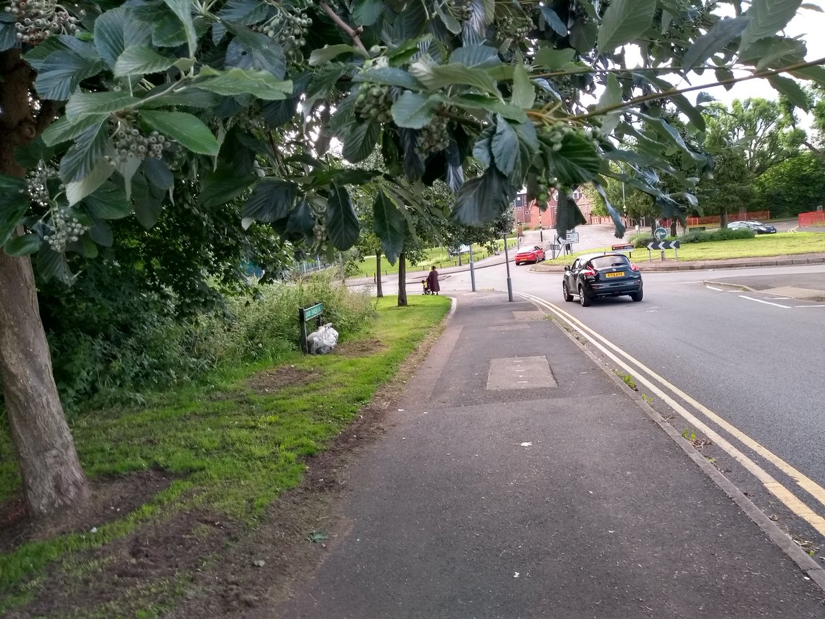 ann_onthecut's tweet photo. Collected 2 bags of rubbish from Lower Church Lane & a bit of Alexandra Road, DY4. Noticed that pedestrians were struggling with overhanging branches so cut them back a bit. #volunteer #binitbab @Litterwatch1 https://t.co/bsT4OpBg5c