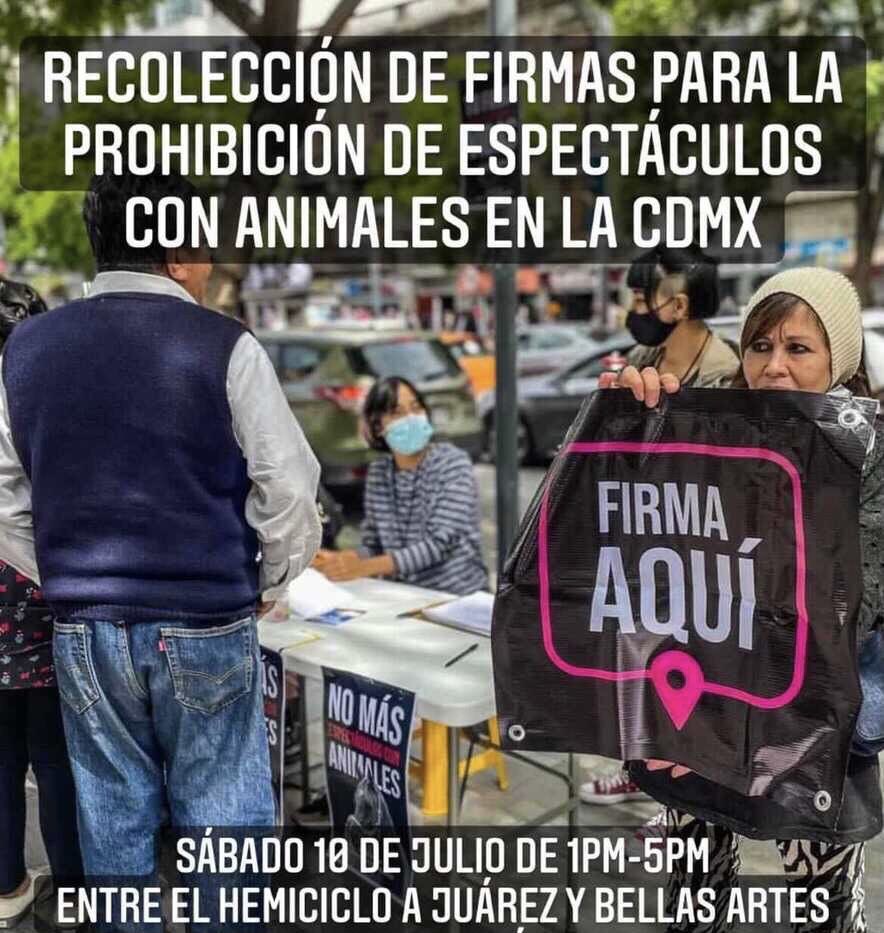 Sasha Sokol (@sashasokol) on Twitter photo Solamente quienes decidimos formar parte de un espectáculo debemos participar en un espectáculo. 
¡Firma por los que no tienen voz! Solamente quienes decidimos formar parte de un espectáculo debemos participar en un espectáculo. 
¡Firma por los que no tienen voz!
