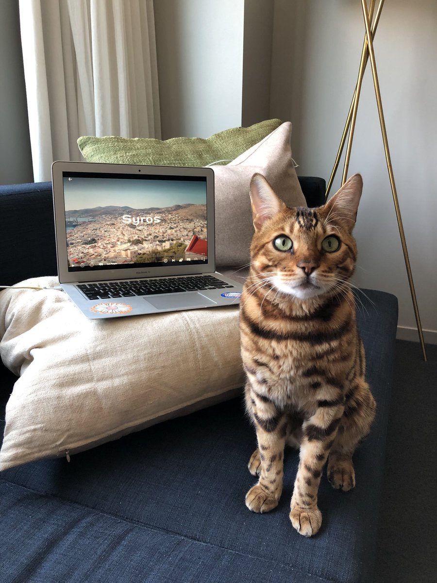 Mavi wants to visit Greece! Episode 5 Gods Little People #NetflixCatPeople #Caturday #WatchParty