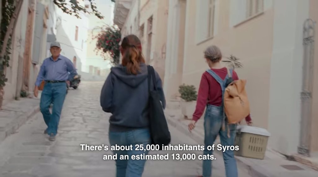 Episode five of CAT PEOPLE is about the amazing God's Little People Cat Sanctuary in Syros, Greece: facebook.com/godslittlepeop…. Why does this small Greek island have a cat sanctuary, you ask? Well. #caturday #NetflixCatPeople