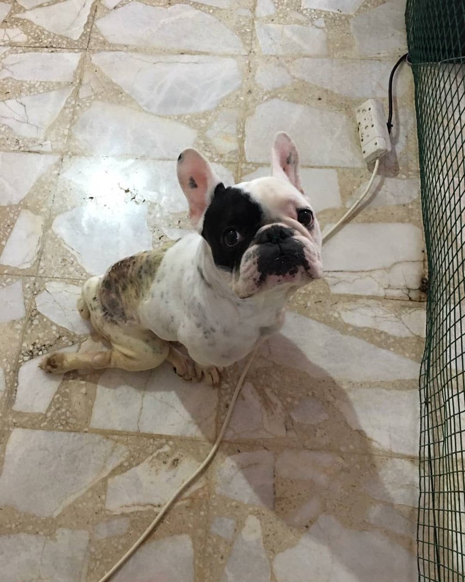 Üretimi durdurun!
Satışı yasaklayın!

#BuYasaKabulEdilemez