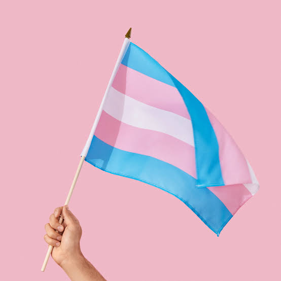 Colline11618997's tweet photo. Transgender lives matter
Proud to be a transgender person https://t.co/PpVeoVhi7r