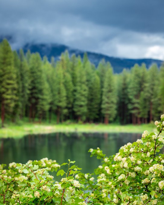 Love nature https://t.co/AxjFD59GXg<a href="/tag/montana"class="tags"><span>#montana</span></a>