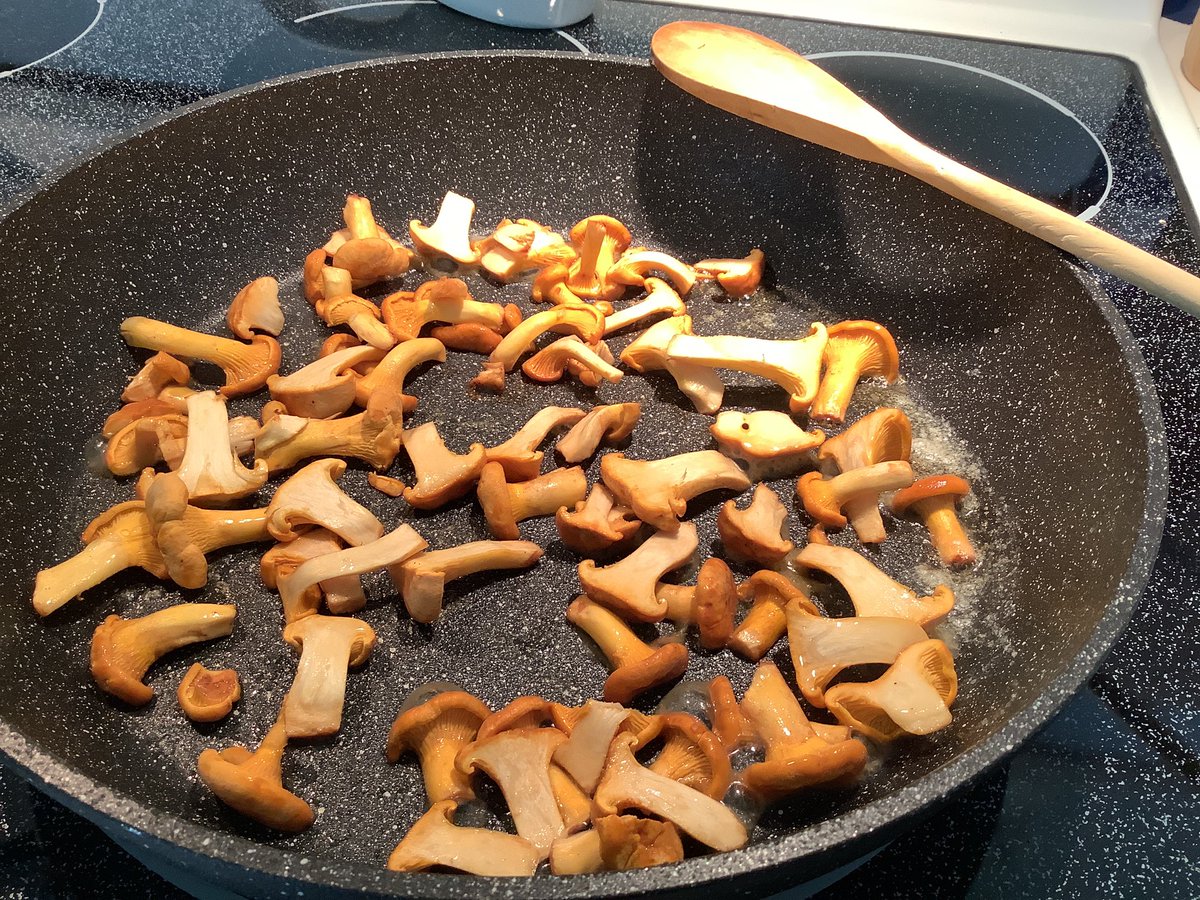 Chanterelles fraîchement cueillies