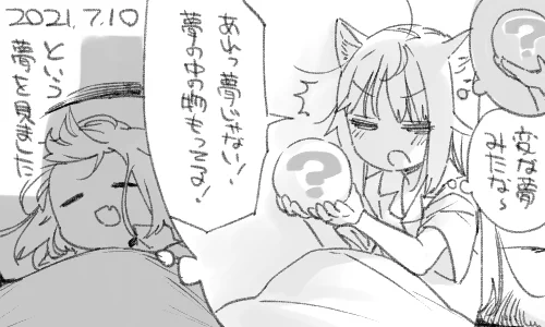 夢のまた夢のまた夢の… 
