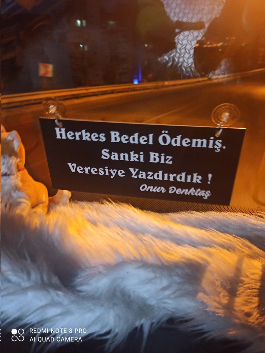 İşte böyle