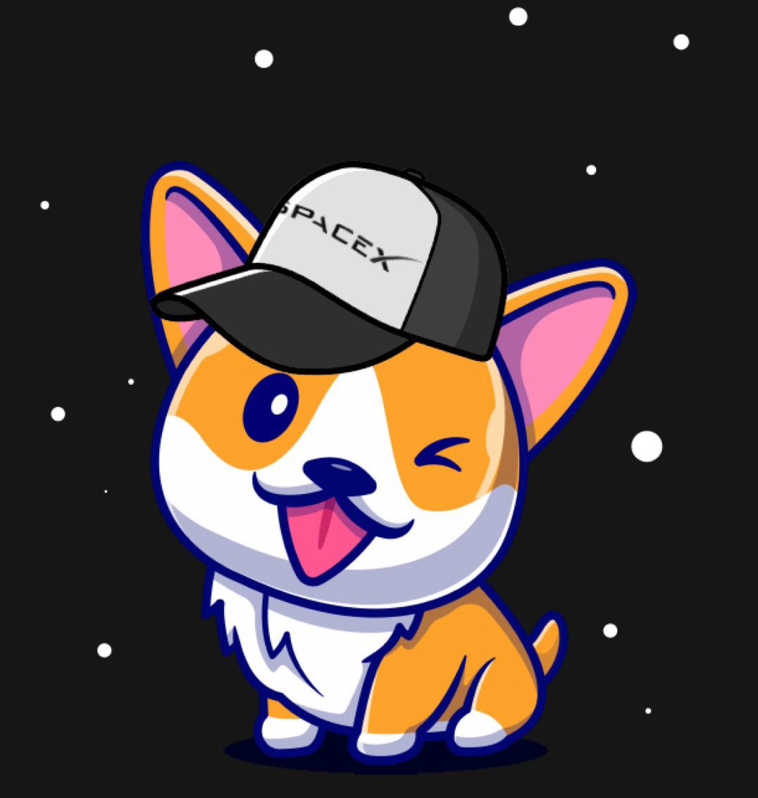 805jh1's tweet image. @elonmusk LETS PLAY #MINIPETS in our @Tesla 🚀💎@MiniDOGEToken #MINIDOGE