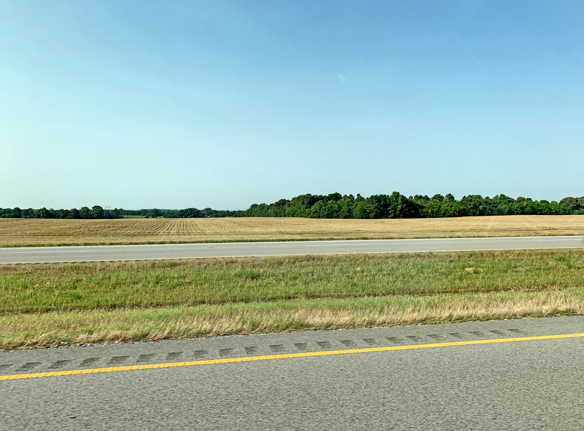 WildeScript's tweet image. Alabama. I am endlessly fascinated by the furrows and their cycles of growth and retreat. A kaleidoscope of golds and greens and asphalt and sky.