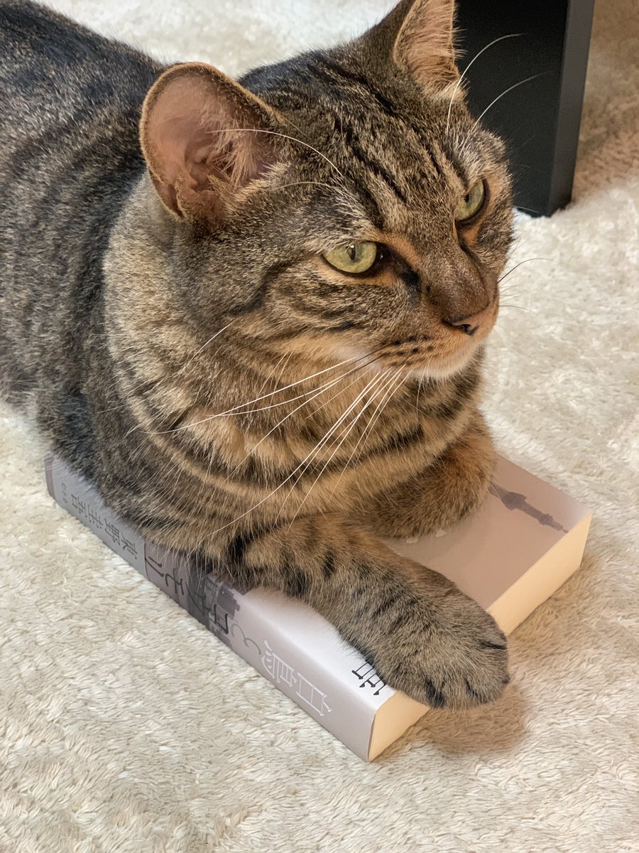 村田洋二郎 Yoking0711 님 트위터