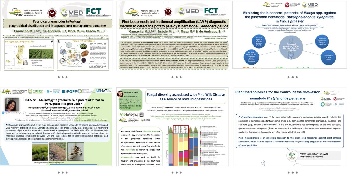 #NemaINIAV Posters presentation at <a href="/encontrociencia/">Encontro Ciência</a> 
 Well done, super team!! 👏👏🤩🤩
<a href="/LeidyRusinque2/">Leidy Rusinque</a> <a href="/David1822/">David Pires</a> <a href="/VicenteCSL/">Claudia S L Vicente</a> <a href="/JorgeMSFaria1/">Jorge M. S. Faria</a>  <a href="/INIAV_IP/">INIAV, IP</a>