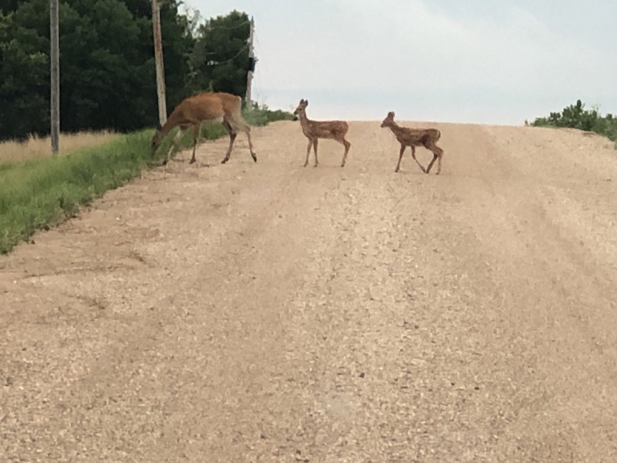 habitatchampion's tweet image. Seasons change and each season brings its own wonderful kind of renewal