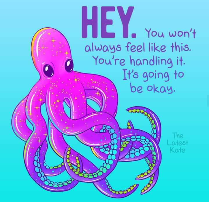KittyRiske's tweet photo. Just keep swimming 🐙🦑 #PositiveVibes https://t.co/CVkoybjqNH