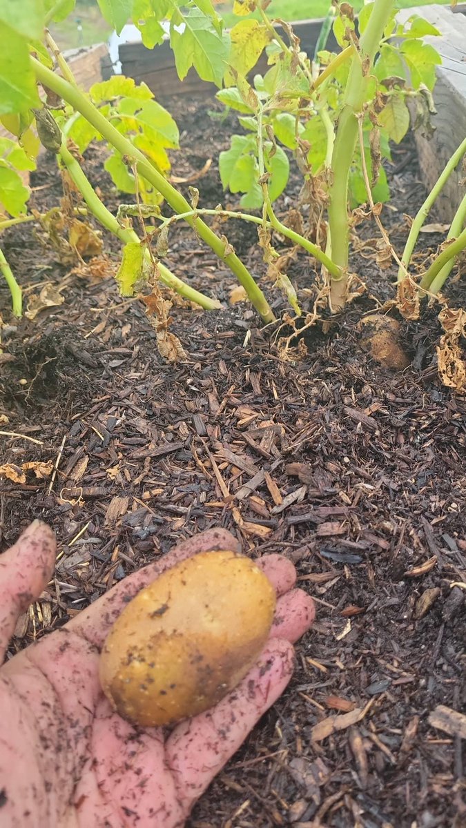 basmannnn's tweet image. 