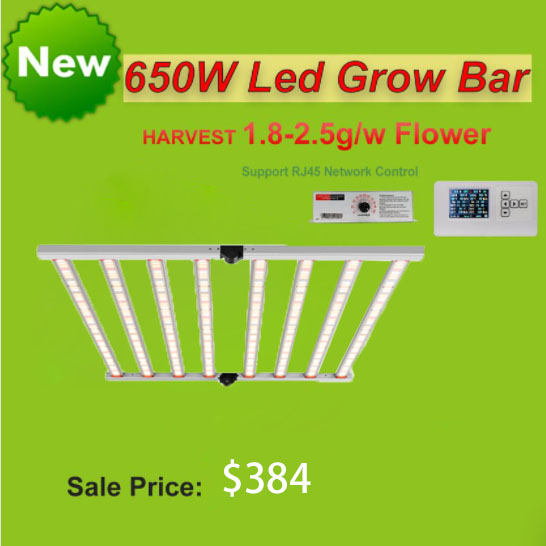 DreamyChan2's tweet photo. #fg6500  LED grow light sale now💚
650w with high PPE 2.7umol/j, evenly light distribution, uniform crops, bring you great high-quality yields.
Contact with more details💚 Factory directly sale 
 #growyourown #medicalgrow #firsttimegrow #Hydroponics #indoorplants #cannabismexico https://t.co/NNm3jd2aWW