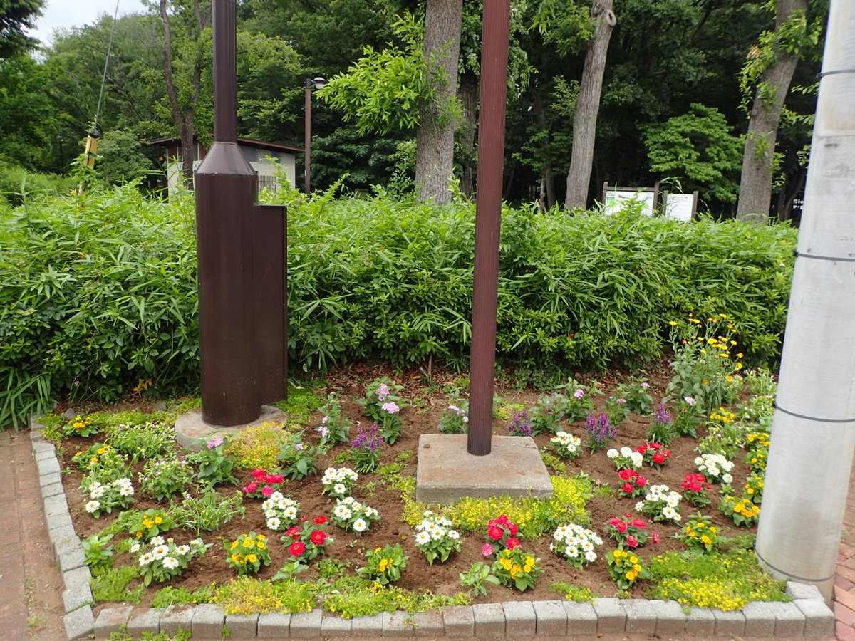 都立東村山中央公園 東南門口花壇 サービスセンター前花壇 バタフライガーデンにジニア ペンタスなど花苗を植えました 都立東村山中央公園 東南門口花壇 サービスセンター前花壇 バタフライガーデンにジニア ペンタスなど花苗を植えました