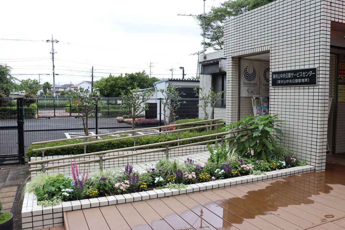 都立東村山中央公園 東南門口花壇 サービスセンター前花壇 バタフライガーデンにジニア ペンタスなど花苗を植えました 都立東村山中央公園 東南門口花壇 サービスセンター前花壇 バタフライガーデンにジニア ペンタスなど花苗を植えました