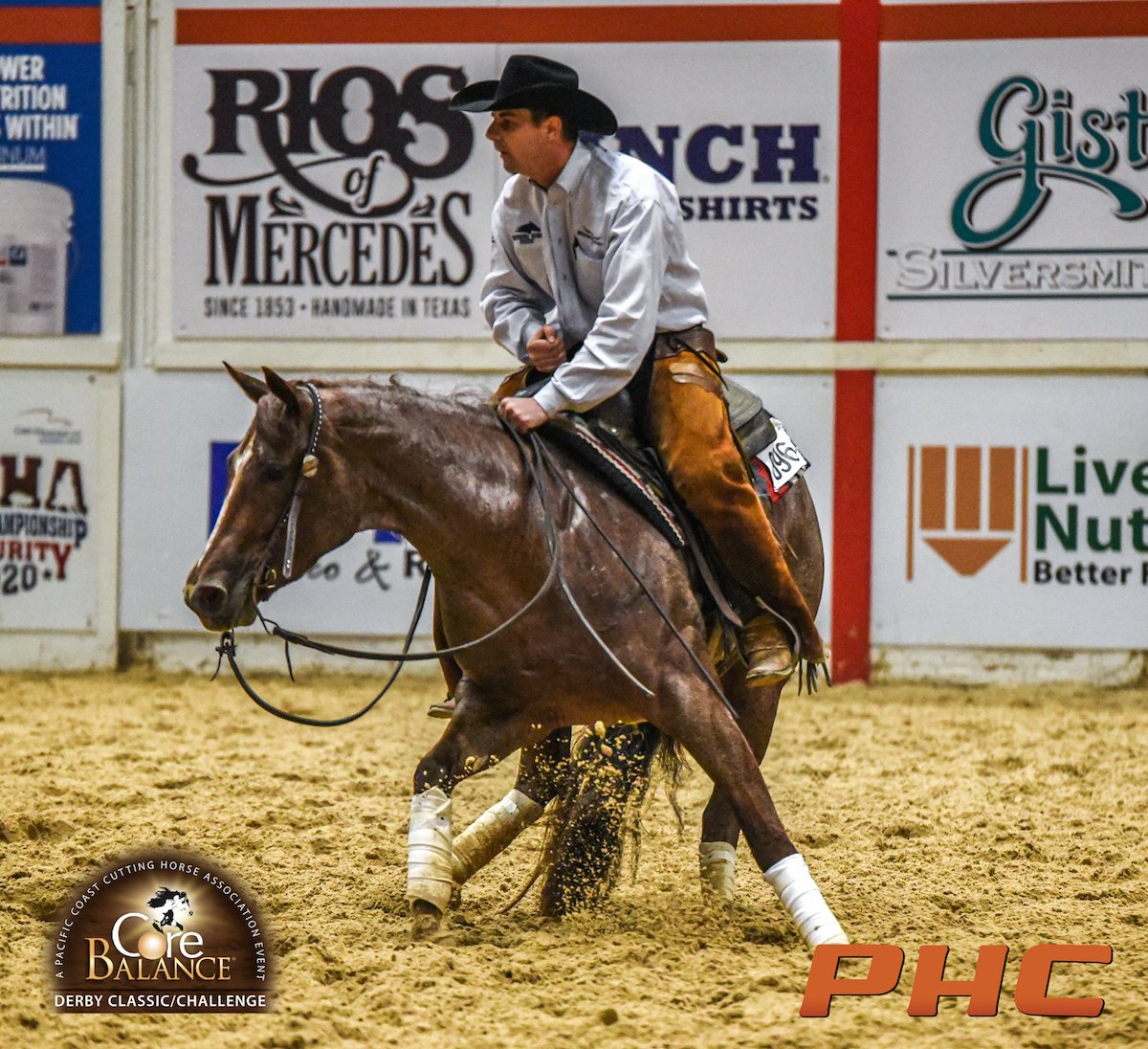 PHorseCentral's tweet photo. Congratulations to Geoffrey Spud Sheehan Performance Horses on being the highest money earning Open Rider at the 2021 #PCCHA #CoreBalance Derby taking home 10 checks on 6 different horses in the LAE classes totalling $44,718
#PHC File photo
#ACutAbove https://t.co/I3BwKiMGW9