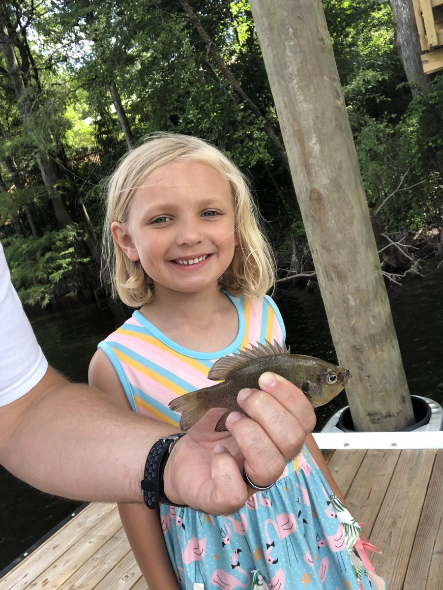 JebBenson's tweet photo. We FINALLY got our dock finished and my daughter caught the first fish! .@Jobesmommy the fish was #NotAKeeper https://t.co/R0JdafB1lw
