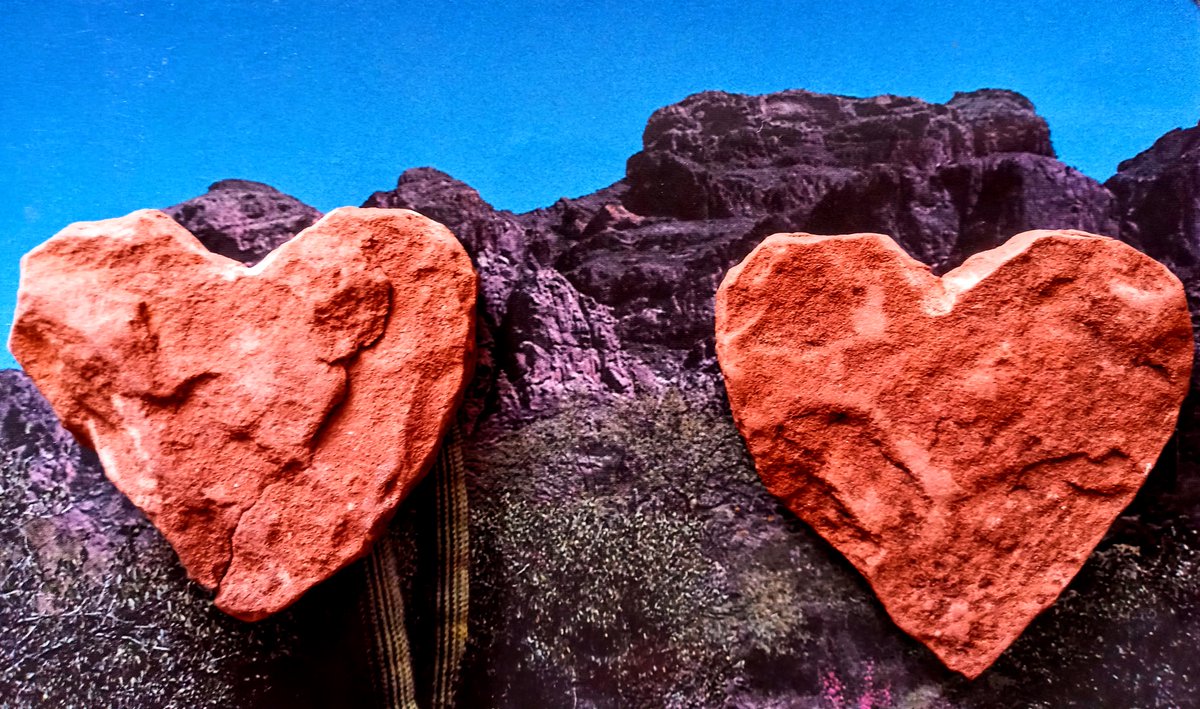 ELeonDeLaRosa's tweet photo. nature can heal us
only if we help it to
one heart at a time
#haiku #poetry #hiking #writing #nature #outdoors #flagstaff #sedona #arizona #wanderlust #photography #hispanicwriter #chicanowriter #hispanicpoet #chicanopoet #hispanicauthor #chicanoauthor https://t.co/RXuwbuvJap