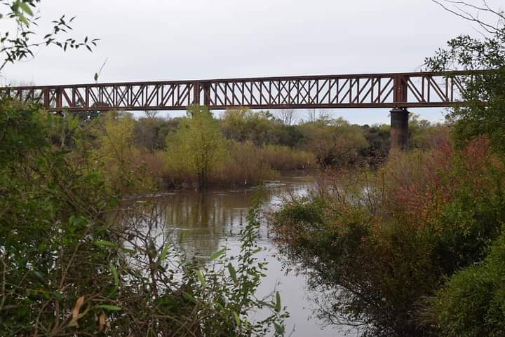 AndreaMadera220's tweet photo. ⚠️El Río Yi alcanza los 7m   
Nuestro Rio Yi a la hora 17:30  con mediciones en regla de puente Ing. Capurro esta en los 7,00 m, el mismo crece a un promedio de 1,66 cm la hora.
Es de esperarse que en el dia martes 29 de junio el comportamiento de nuestro Rio sea ya descendente. https://t.co/zI5Dp7pzeB