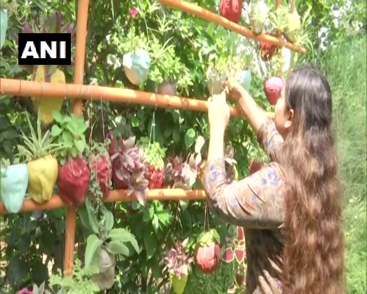 ANI's tweet photo. Madhya Pradesh: A woman has grown a 'mini forest' that houses 4000 plants of 450 species in 800 sqft area, behind her home in Bhopal

She said y'day, "Out of 450 species, 150 are rare species that aren't suitable for our environment so I've created special conditions for them." https://t.co/Jxnoy4bKwL