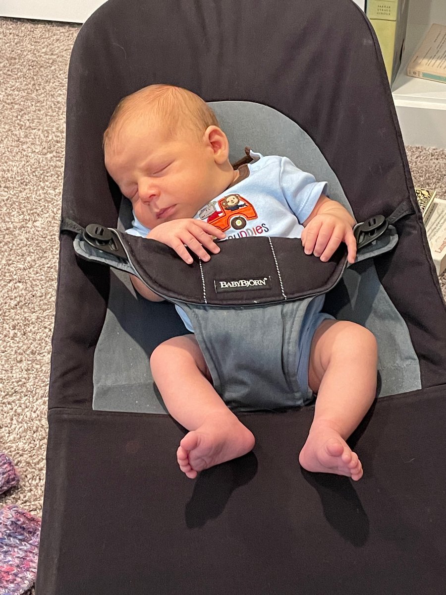 lisadclancy's tweet photo. At just about 3 weeks old, Silas made it through his first County Council committee hearing this morning, a closed session abt our Auditor search. I like his strategyβ¦ will it work for tomorrow nightβs weekly meeting? #workingmoms #workingfromhome #publicservice #milkcoma https://t.co/KSbLrsm0hn
