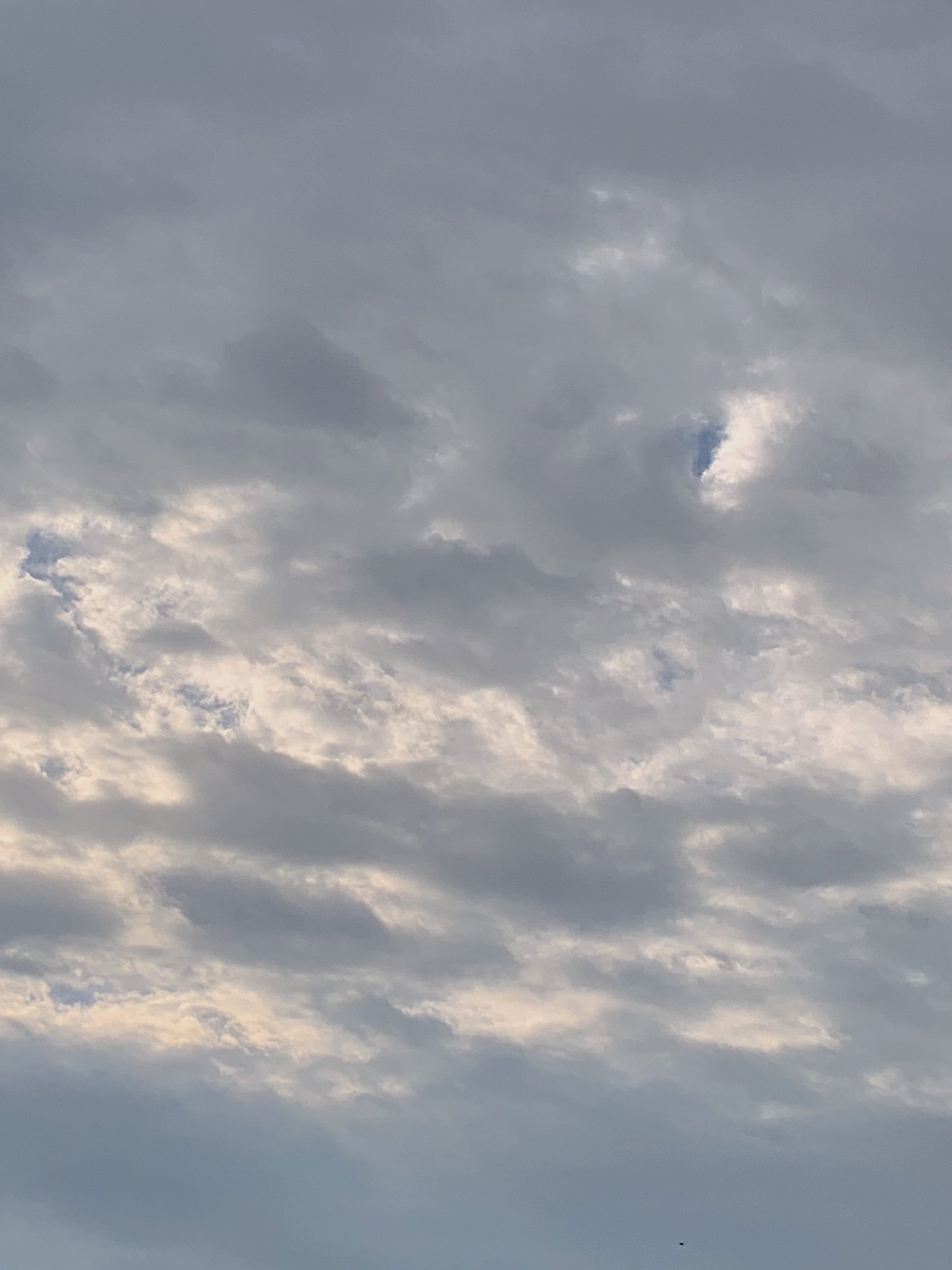 雲の上は青空 Twitter Search Twitter