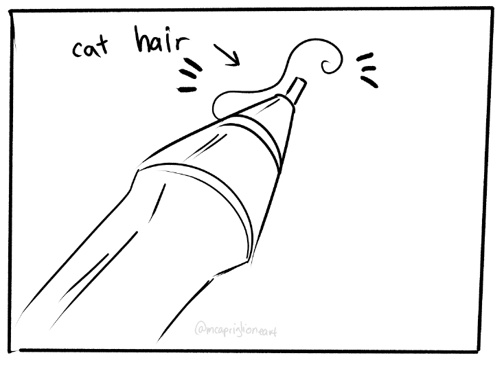 cat hair Everywhere 