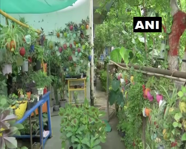 ANI's tweet photo. Madhya Pradesh: A woman has grown a 'mini forest' that houses 4000 plants of 450 species in 800 sqft area, behind her home in Bhopal

She said y'day, "Out of 450 species, 150 are rare species that aren't suitable for our environment so I've created special conditions for them." https://t.co/Jxnoy4bKwL