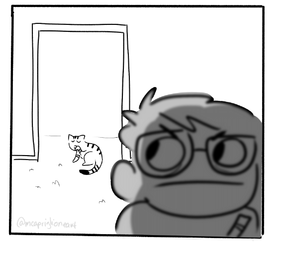 cat hair Everywhere 
