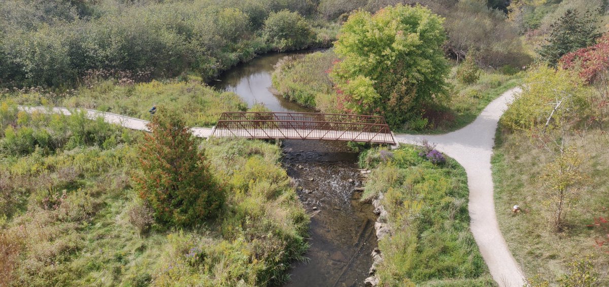 CVC_CA's tweet photo. The Hungry Hollow Sustainable Neighbourhood Action Plan is complete and officially moving into implementation. 🙌🎉 #HungryHollowSNAP residents can celebrate by participating in the Nature in Your Neighbourhood #contest! Here's how: https://t.co/h3bsV2R79v @_HaltonHills https://t.co/8bSpnz3NxI