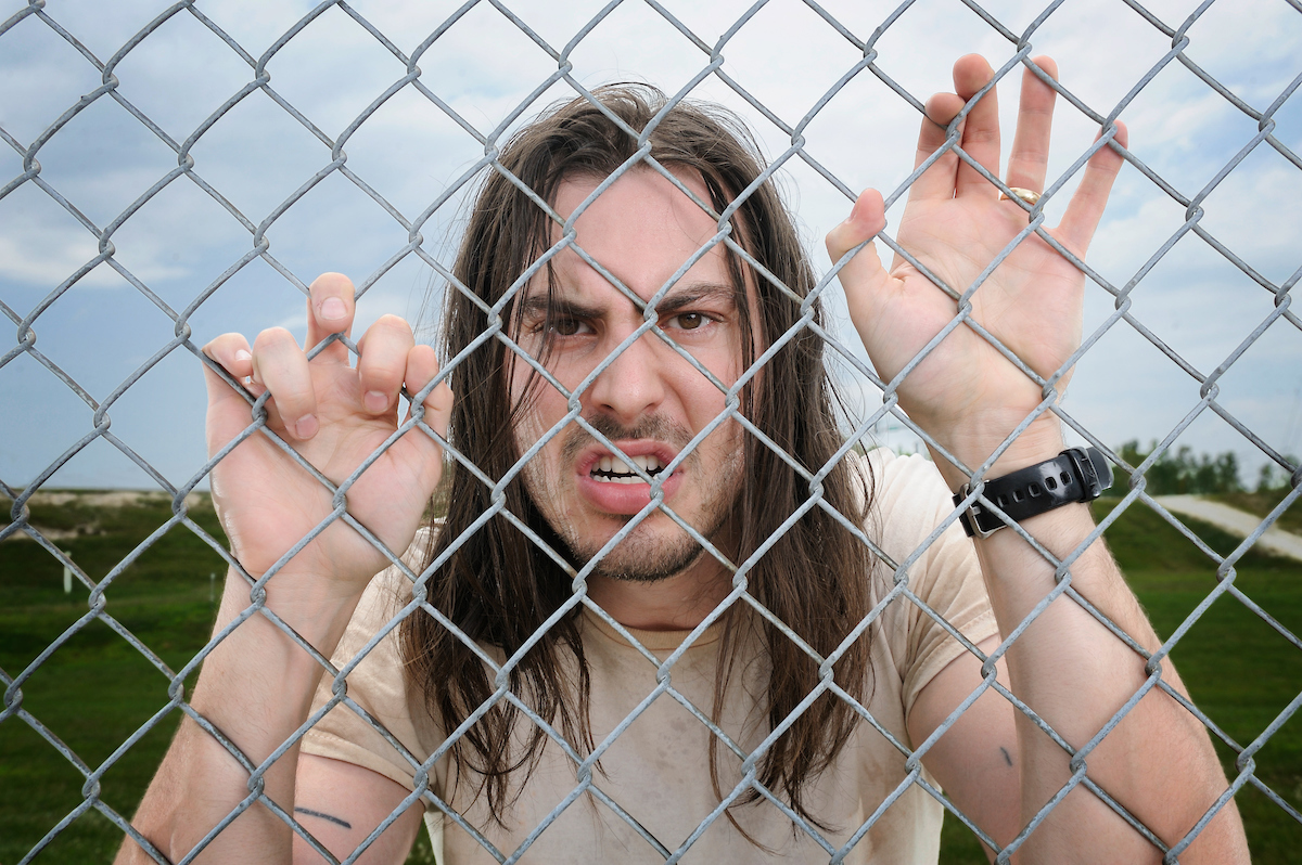 Todd Owyoung tweet media